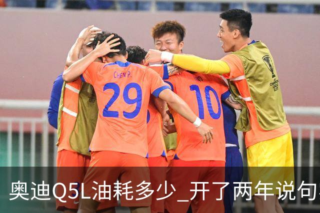 奥迪Q5L油耗多少 开了两年说句实话 家用到底香不香