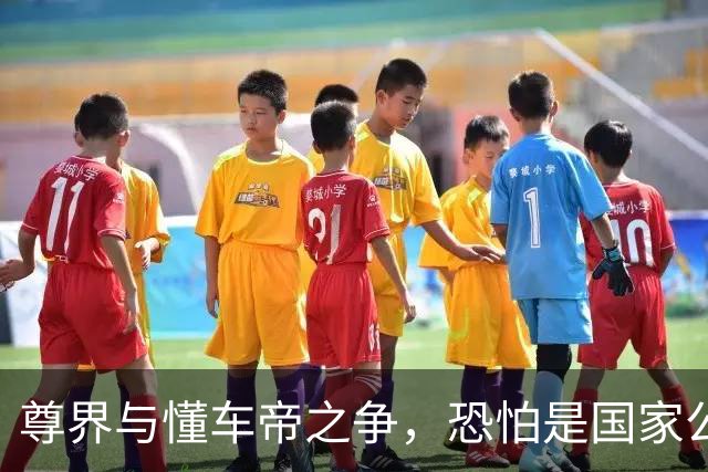 尊界与懂车帝之争，恐怕是国家公信力的又一个转折点