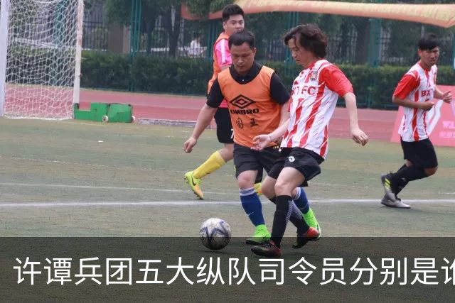 许谭兵团五大纵队司令员分别是谁？他们的军衔又是什么情况？